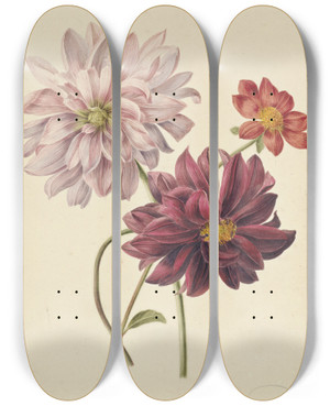 Triptych art skateboard deck of Willem Hekking Dahlias by Willem I Hekking (1796-1862)