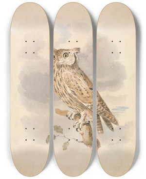 Triptych art skateboard deck of Samuel Howitt Scops Owl by Samuel Howitt (1756-1822)