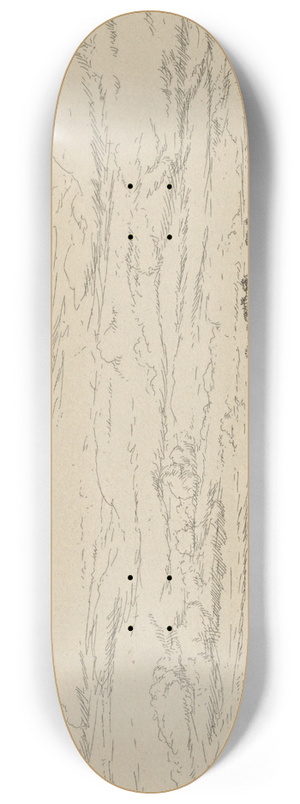 Ernest Haskell - Boubiers Field 8.25 inch art skate deck