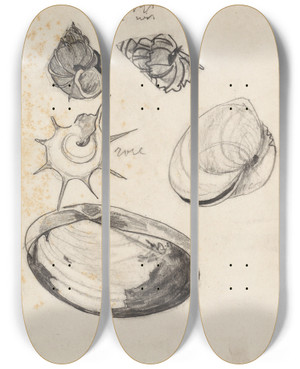 Triptych art skateboard deck of Theo Nieuwenhuis Studieblad Met Schelpen by Theo Nieuwenhuis (1866-1951)