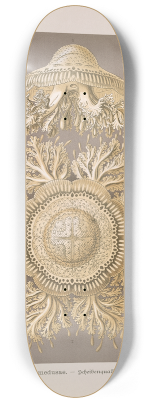 Ernst Haeckel - Discomedusae.  Scheibenquallen 8.25 inch art skate deck