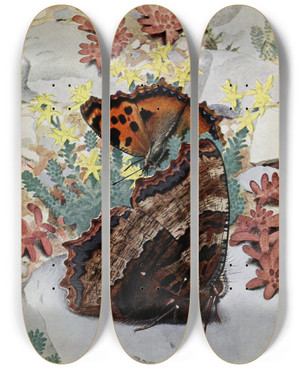 Triptych art skateboard deck of Paulandre Robert La Grandetortue by Paul-Andre Robert (1901-1977)
