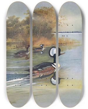 Triptych art skateboard deck of John Guille Millais Hooded Merganser by John Guille Millais (1865-1931)