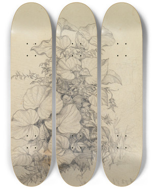 Triptych art skateboard deck of Ferdinand Keller Pflanzenstudie Xi by Ferdinand Keller (1842-1922)