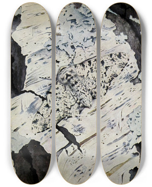 Triptych art skateboard deck of Paulandre Robert La Phalne Du Bouleau by Paul-Andre Robert (1901-1977)