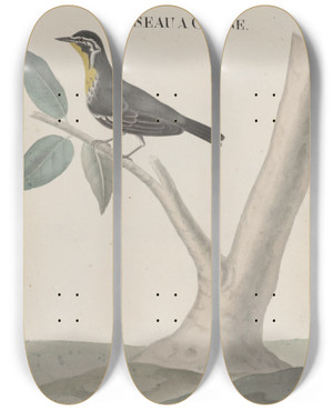 Triptych art skateboard deck of Ren De Rabi Natural History Of Saint Domingue Pl027 by Ren de Rabi (1700-1785)