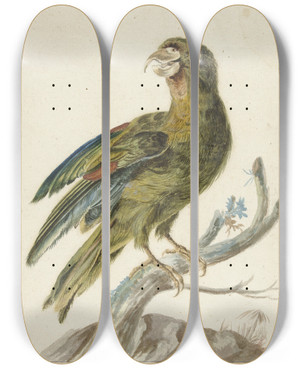 Triptych art skateboard deck of Jan Weenix Parakeet by Jan Weenix (1641-1719)
