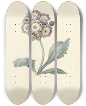Triptych art skateboard deck of Maria Margaretha Van Os Bloemenstudie_3 by Maria Margaretha Van Os (1779-1862)