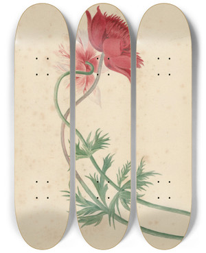 Triptych art skateboard deck of Michiel Van Huysum Twee Takken Met Elk Een Bloem by Michiel Van Huysum (1703-1777)