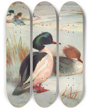 Triptych art skateboard deck of Archibald Thorburn Goosander by Archibald Thorburn (1860-1935)