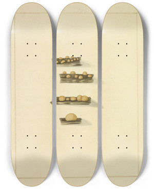 Triptych art skateboard deck of James Bolton Icons Fungorum Circa Halifax Sponte Nascentium Pl220 by James Bolton (1735-1799)