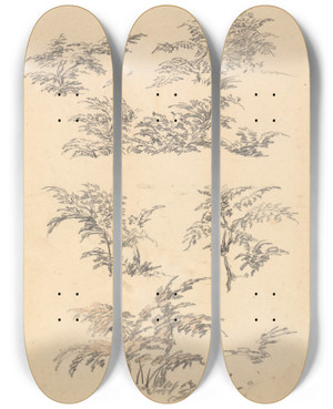 Triptych art skateboard deck of Robert Hills Study Of Bracken by Robert Hills (1769-1844)