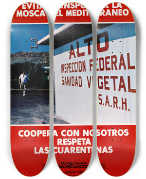 Triptych art skateboard deck of Us Information Agency Evita Transportar La Mosca Mediterraneo by U S Information Agency (1953-1999)