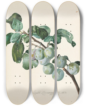 Triptych art skateboard deck of Leopold Zinngger Ringlottenzweig by Leopold Zinnogger (1811-1872)