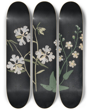 Triptych art skateboard deck of Ellen W Album Of Cutpaper Flowers Pl21 by Ellen W (19-)