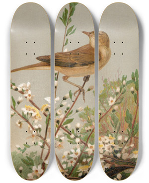 Triptych art skateboard deck of Lopaul Robert Fauvette Des Jardins by Leo Paul Robert (1851-1923)