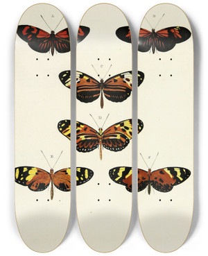 Triptych art skateboard deck of Pieter Cramer Foreign Butterflies Occurring In The Three Continents Asia Africa And America Pl103 by Pieter Cramer (1721-1776)