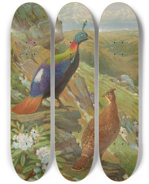 Triptych art skateboard deck of Charles Robert Knight Himalayan Impeyan Pheasant by Charles Robert Knight (1874-1953)