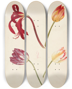 Triptych art skateboard deck of Johanna Fosie Studie Af Tulipaner by Johanna Fosie (1726-1764)