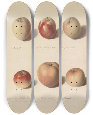 Triptych art skateboard deck of Sebastian Wegmayr Apfelsorten by Sebastian Wegmayr (1776-1857)