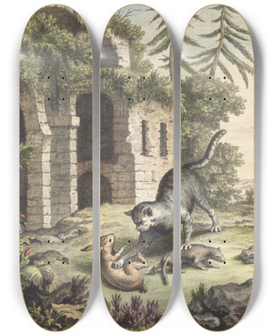 Triptych art skateboard deck of Martin Marvie Le Chat La Balette Et Le Petit Lapin The Cat The Weasel And The Rabbit by Martin Marvie (1713-1813)