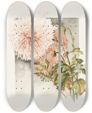 Triptych art skateboard deck of James Callowhill Chrysanthemums by James Callowhill (1838-1917)