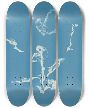 Triptych art skateboard deck of Anna Atkins Enteromorpha Ramulosa by Anna Atkins (1799-1871)