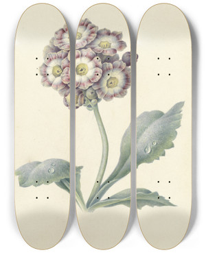Triptych art skateboard deck of Maria Margaretha Van Os Bloemenstudie_1 by Maria Margaretha Van Os (1779-1862)