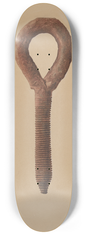 Eugene Bartz - Shroud Deck Eye 8.25 inch art skate deck