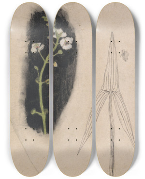 Triptych art skateboard deck of Theo Nieuwenhuis Plantenstudie Met Pijlkruid by Theo Nieuwenhuis (1866-1951)