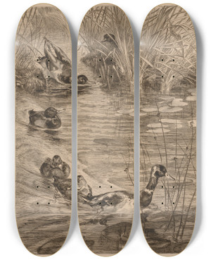 Triptych art skateboard deck of Flix Bracquemond Ducks At Play by Felix Bracquemond (1833-1914) Triptych art skateboard deck of Flix Bracquemond Ducks At Play by Felix Bracquemond (1833-1914)