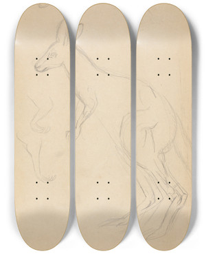 Triptych art skateboard deck of James Sowerby Two Kangaroos With Details_2 by James Sowerby (1757-1822)