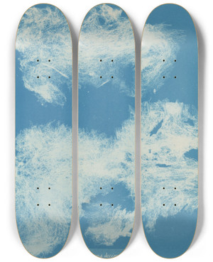 Triptych art skateboard deck of Anna Atkins Zygnema Deciminum by Anna Atkins (1799-1871)