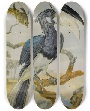 Triptych art skateboard deck of Circle Of Aert Schouman A Hornbill And Another Bird On A Branch by Circle Of Aert Schouman (1710-1792)