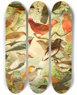 Triptych art skateboard deck of Emil August Gldi Anambs by Emil August Goldi (1859-1917)