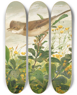 Triptych art skateboard deck of Lopaul Robert Fauvette Grisette by Leo Paul Robert (1851-1923) Triptych art skateboard deck of Lopaul Robert Fauvette Grisette by Leo Paul Robert (1851-1923)