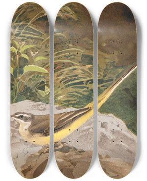 Triptych art skateboard deck of Lopaul Robert Lavandire Jaune by Leo Paul Robert (1851-1923)