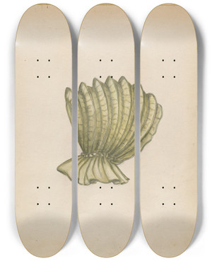 Triptych art skateboard deck of Fanchon Larzelere Calash by Fanchon Larzelere