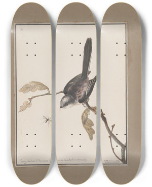 Triptych art skateboard deck of John William Lewin Original Watercolour Drawings Of Birds And Eggs Pl11 by John William Lewin (1770-1819)