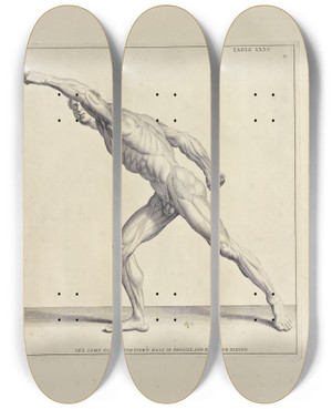 Triptych art skateboard deck of Michael Van Der Gucht Anatomy Improvd And Illustrated With Regard To The Uses Thereof In Designing Pl35 by Michael van der Gucht (1660-1725)