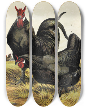Triptych art skateboard deck of Harrison Weir La Fleche by Harrison Weir (1824-1906)