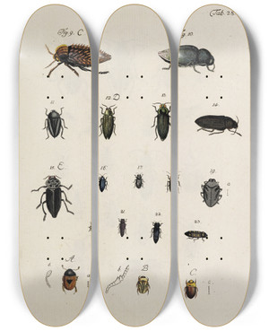 Triptych art skateboard deck of Johann Caspar Fuessli Archives De Lhistoire Des Insectes Pl30 by Johann Caspar Fuessli (1743-1786)