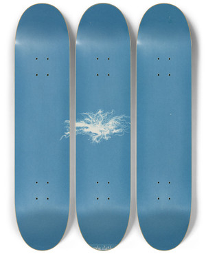 Triptych art skateboard deck of Anna Atkins Enteromorpha Clathrata by Anna Atkins (1799-1871)