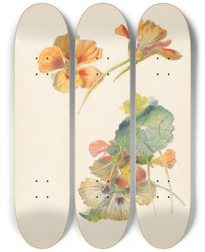 Triptych art skateboard deck of Albertus Steenbergen Studieblad Met Oostindische Kers by Albertus Steenbergen (1814-1900)