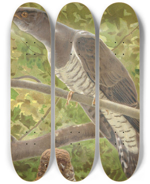 Triptych art skateboard deck of Lopaul Robert Coucou by Leo Paul Robert (1851-1923)