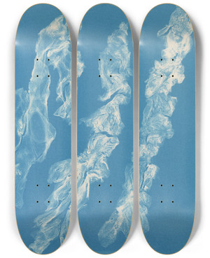 Triptych art skateboard deck of Anna Atkins Ulva Bullosa by Anna Atkins (1799-1871)