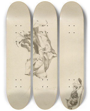 Triptych art skateboard deck of Friedrich Von Olivier Shriveled Leaves by Friedrich Von Olivier (1791-1859)
