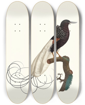 Triptych art skateboard deck of Jacques Barraband Le Nbuleux Ltat Du Repos by Jacques Barraband (1767-1809)