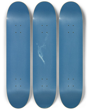 Triptych art skateboard deck of Anna Atkins Ectocarpus Amphibius by Anna Atkins (1799-1871)