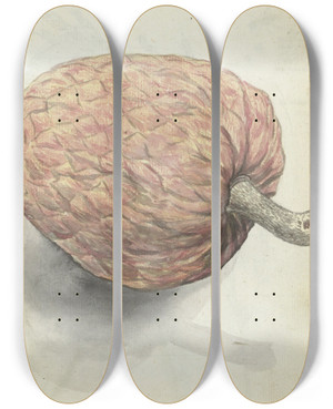 Triptych art skateboard deck of Jan Brandes Boanonna Of Wilde Serikaja by Jan Brandes (1743-1808)